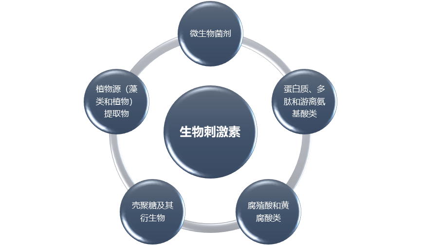 生物刺激素行業(yè)報(bào)告與投資分析 市場規(guī)模、發(fā)展前景及利潤洞察